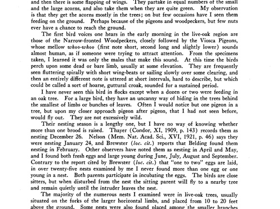 Viosca Pigeon Page 2